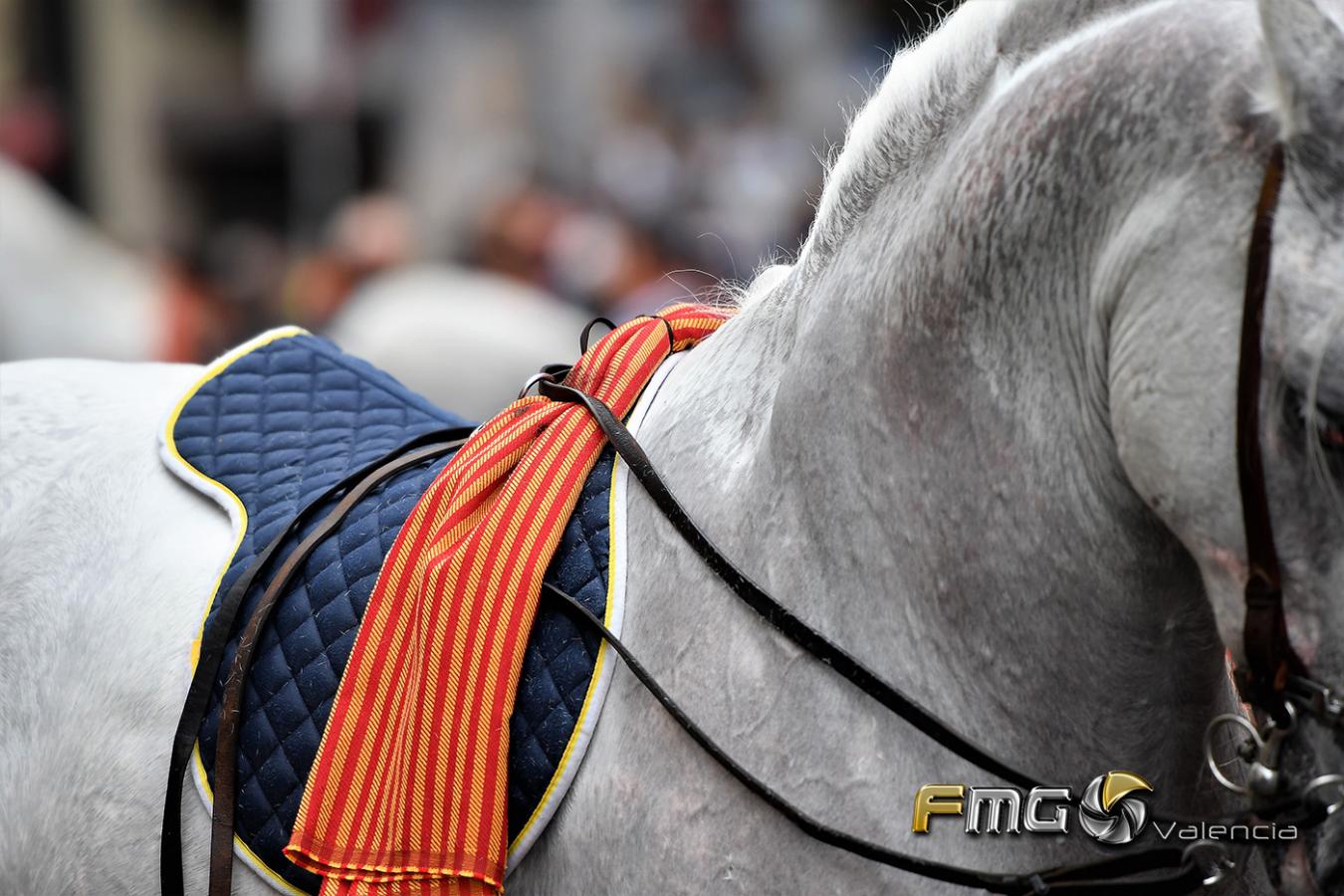 Entrada-de-Moros-y-Cristianos-Ciudad-de-València-9-de-octubre-2018-FMGValencia-Fili-Navarrete(21)