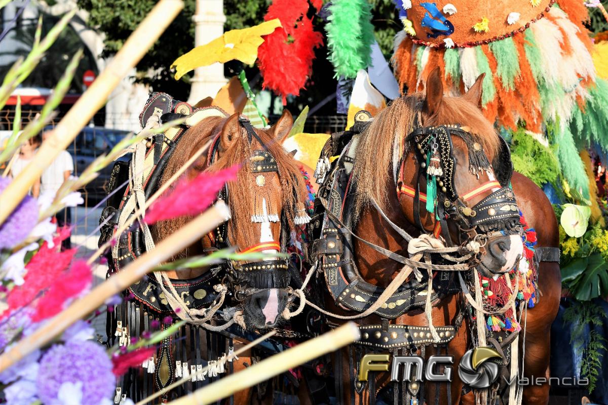 batalla-de-flores-valencia-2017-fmg-valencia-fili-navarrete (4)