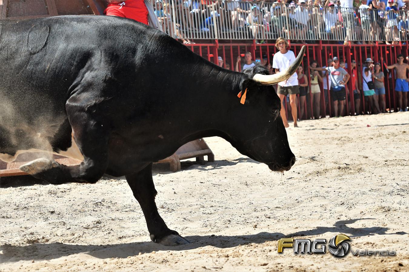 BOUS-A-LA-MAR-XABIA-2018-FMGVALENCIA-FILI-NAVARRETE (14)