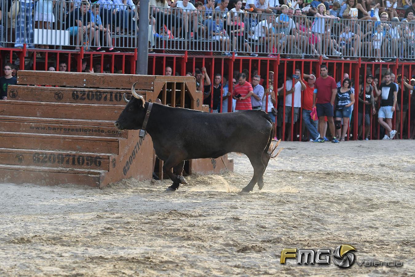Bous-a-la-mar-Xabia-2017-FMGValencia-Fili-Navarrete (4)
