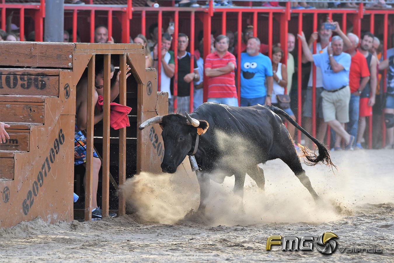 Bous-a-la-mar-Xabia-2017-FMGValencia-Fili-Navarrete (6)