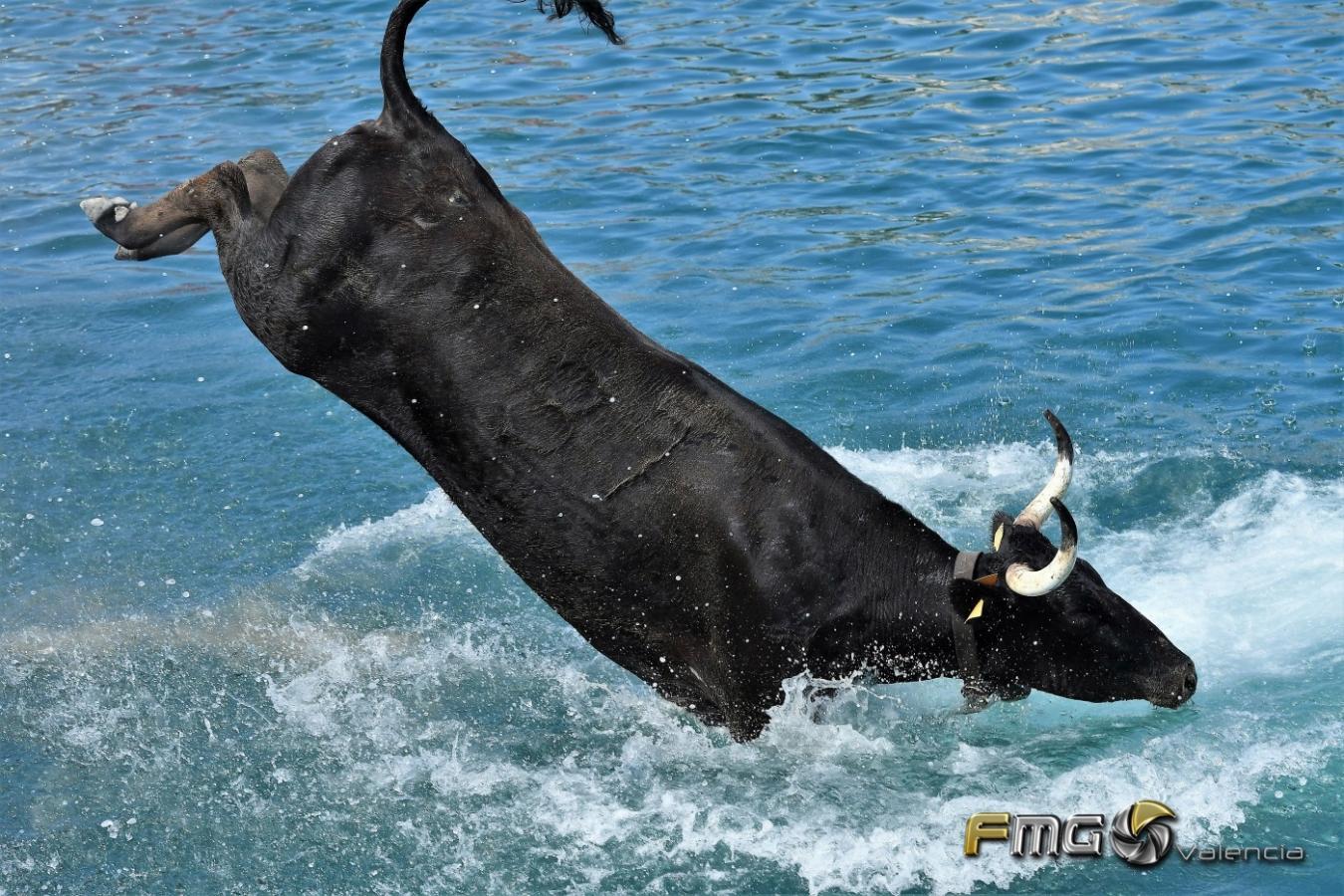 FOTOS BOUS A LA MAR -XABIA 2022 Fili Navarrete Fmg-Valencia-105