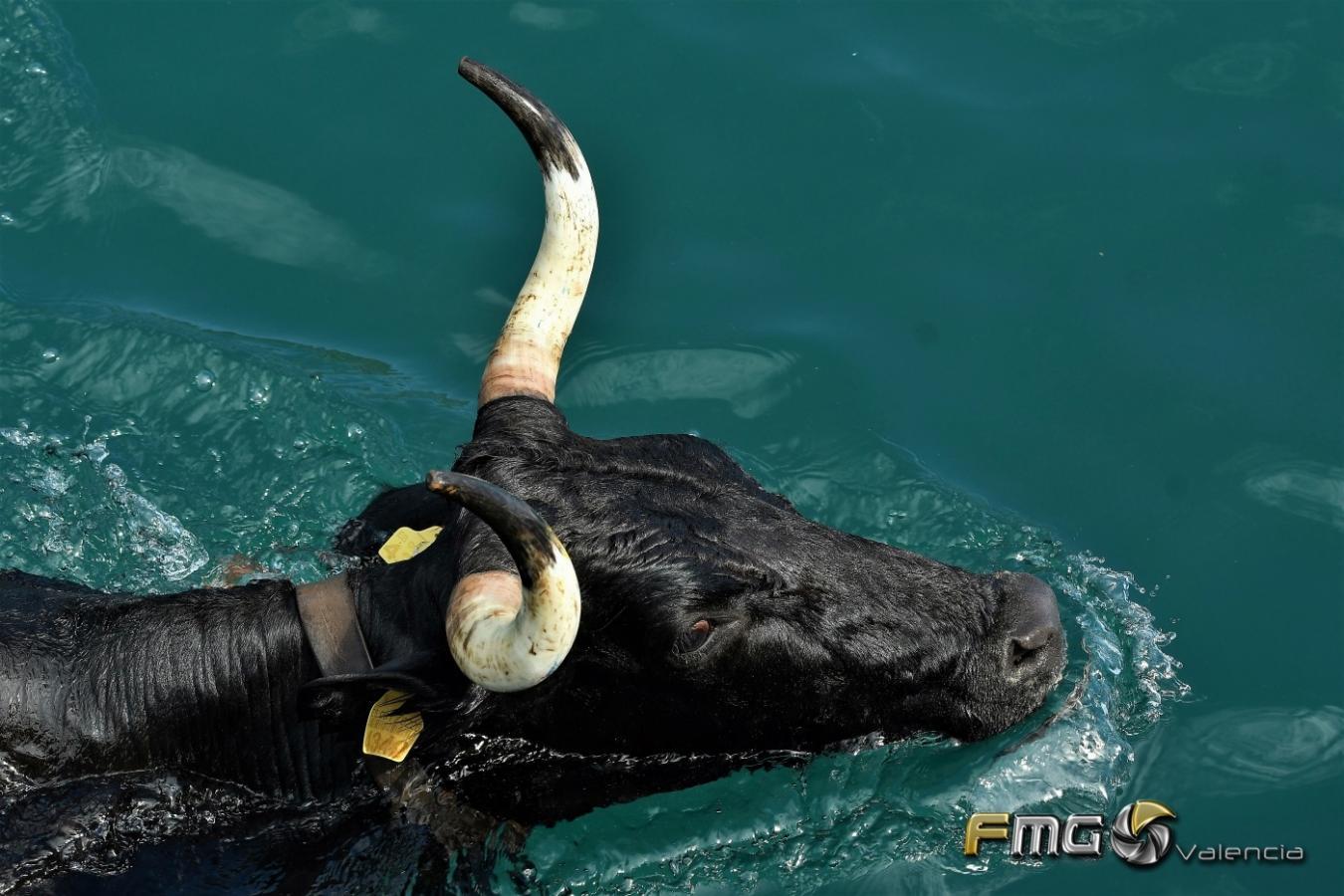 FOTOS BOUS A LA MAR -XABIA 2022 Fili Navarrete Fmg-Valencia-106