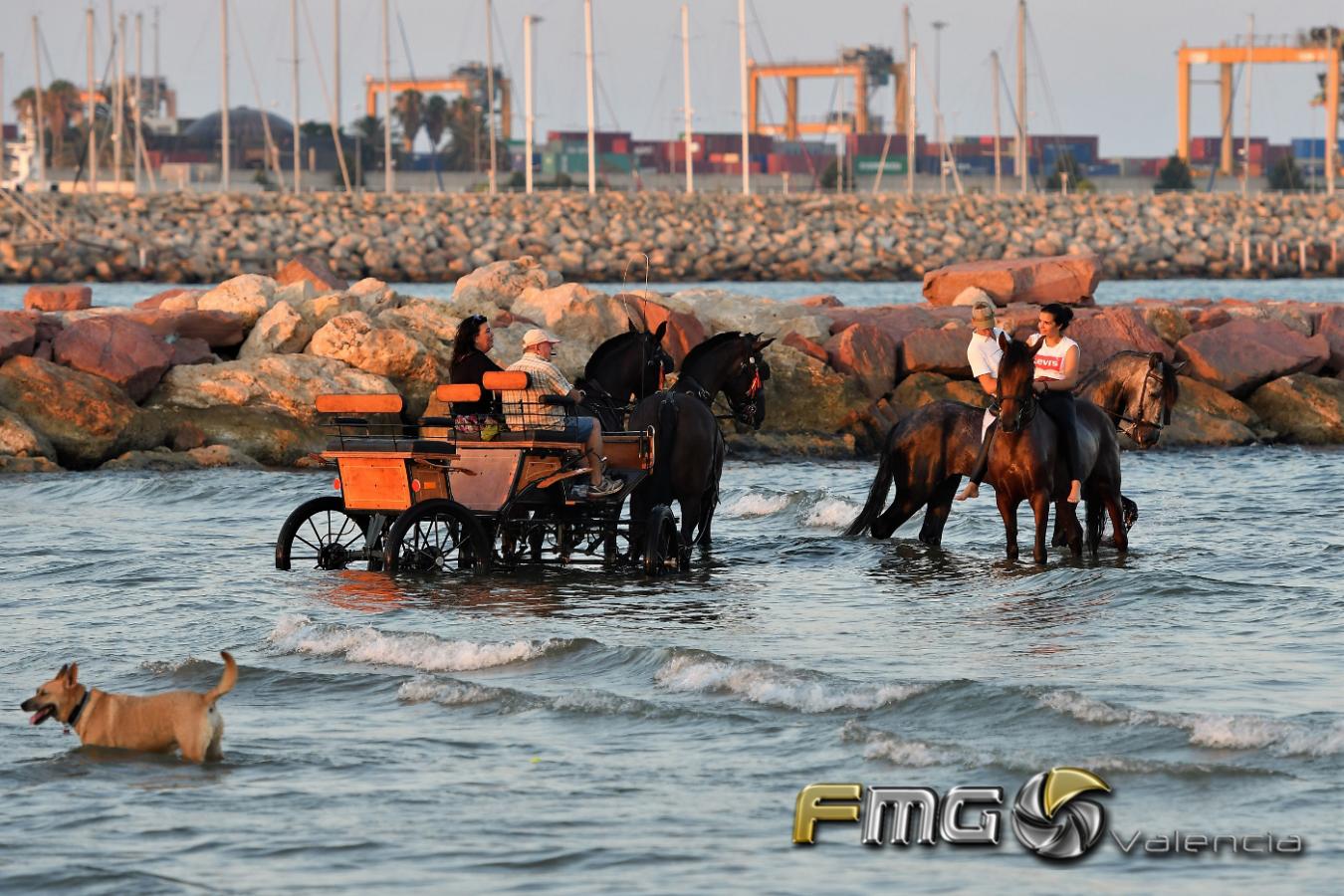 CORREGUDES-DE-JOIES-PINEDO-2018-FMGVALENCIA-FILI-NAVARRETE-2018 (95)