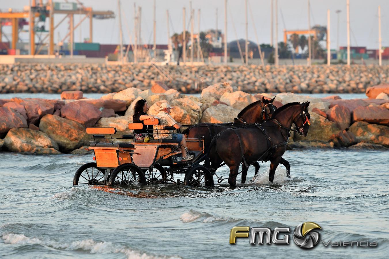 CORREGUDES-DE-JOIES-PINEDO-2018-FMGVALENCIA-FILI-NAVARRETE-2018 (96)