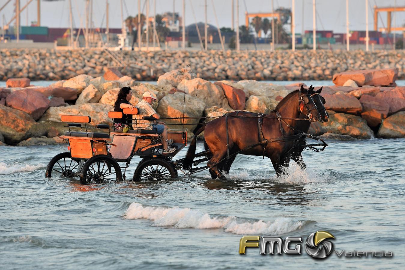 CORREGUDES-DE-JOIES-PINEDO-2018-FMGVALENCIA-FILI-NAVARRETE-2018 (97)