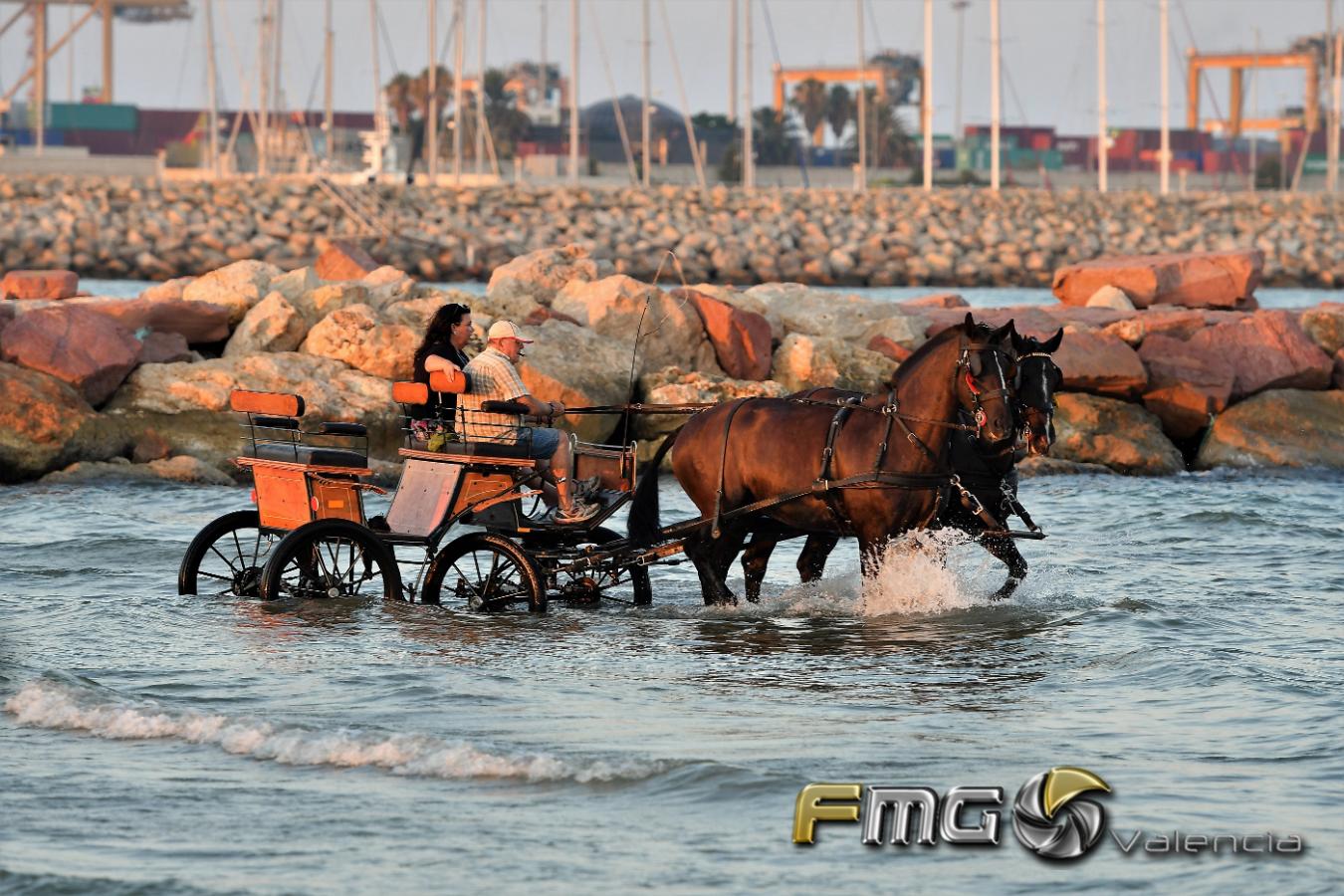 CORREGUDES-DE-JOIES-PINEDO-2018-FMGVALENCIA-FILI-NAVARRETE-2018 (98)