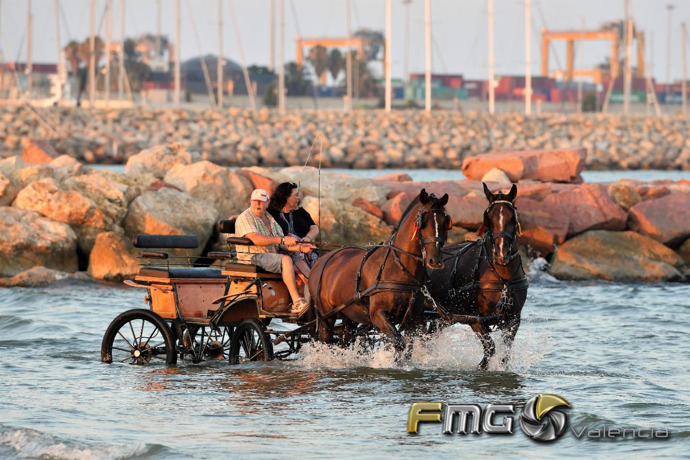 CORREGUDES-DE-JOIES-PINEDO-2018-FMGVALENCIA-FILI-NAVARRETE-2018 (99)