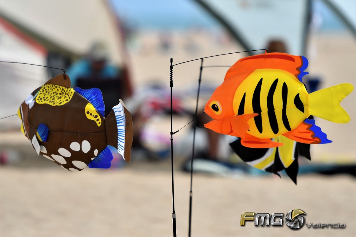 FESTIVAL DEL VIENTO VALENCIA 2017 - FMGVALENCIA  (15)