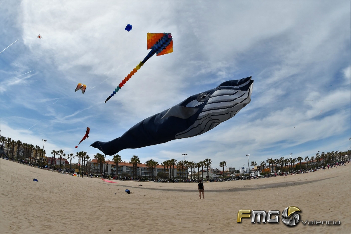 FESTIVAL DEL VIENTO VALENCIA 2017 - FMGVALENCIA  (19)