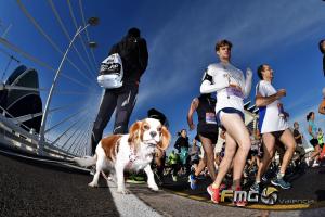 MEDIO-MARATON- VALENCIA-2018-FMGVALENCIA-FILI-NAVARRETE (2290)