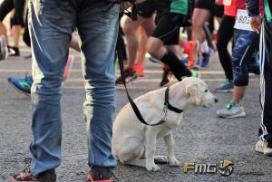 Carrera-Never-Stop-Running-2018-fmgvalencia-fili-navarrete (10)