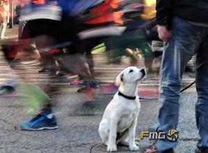 Carrera-Never-Stop-Running-2018-fmgvalencia-fili-navarrete (12)