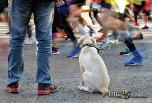 Carrera-Never-Stop-Running-2018-fmgvalencia-fili-navarrete (13)