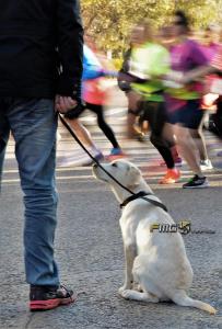 Carrera-Never-Stop-Running-2018-fmgvalencia-fili-navarrete (14)