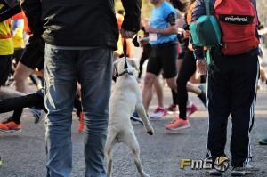 Carrera-Never-Stop-Running-2018-fmgvalencia-fili-navarrete (9)