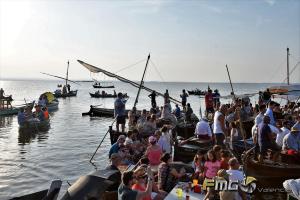 Romería-de-El-Palmar-al-Cristo de-la-Salud-FMGVALENCIA-FILI-NAVARRETE (142)