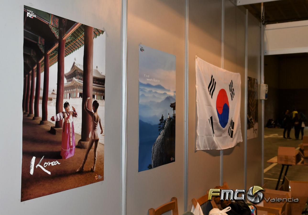 salon-del-manga-VALENCIA- 2017 japan-weekend-fmg-valencia-fili-navarrete  (18)