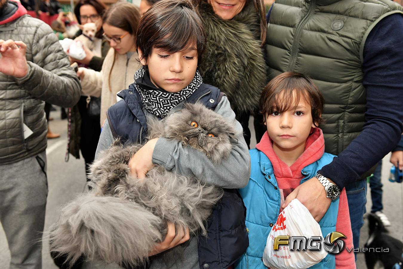 SANT-ANTONI-2019-FMGVALENCIA-FILI-NAVARRETE(107)