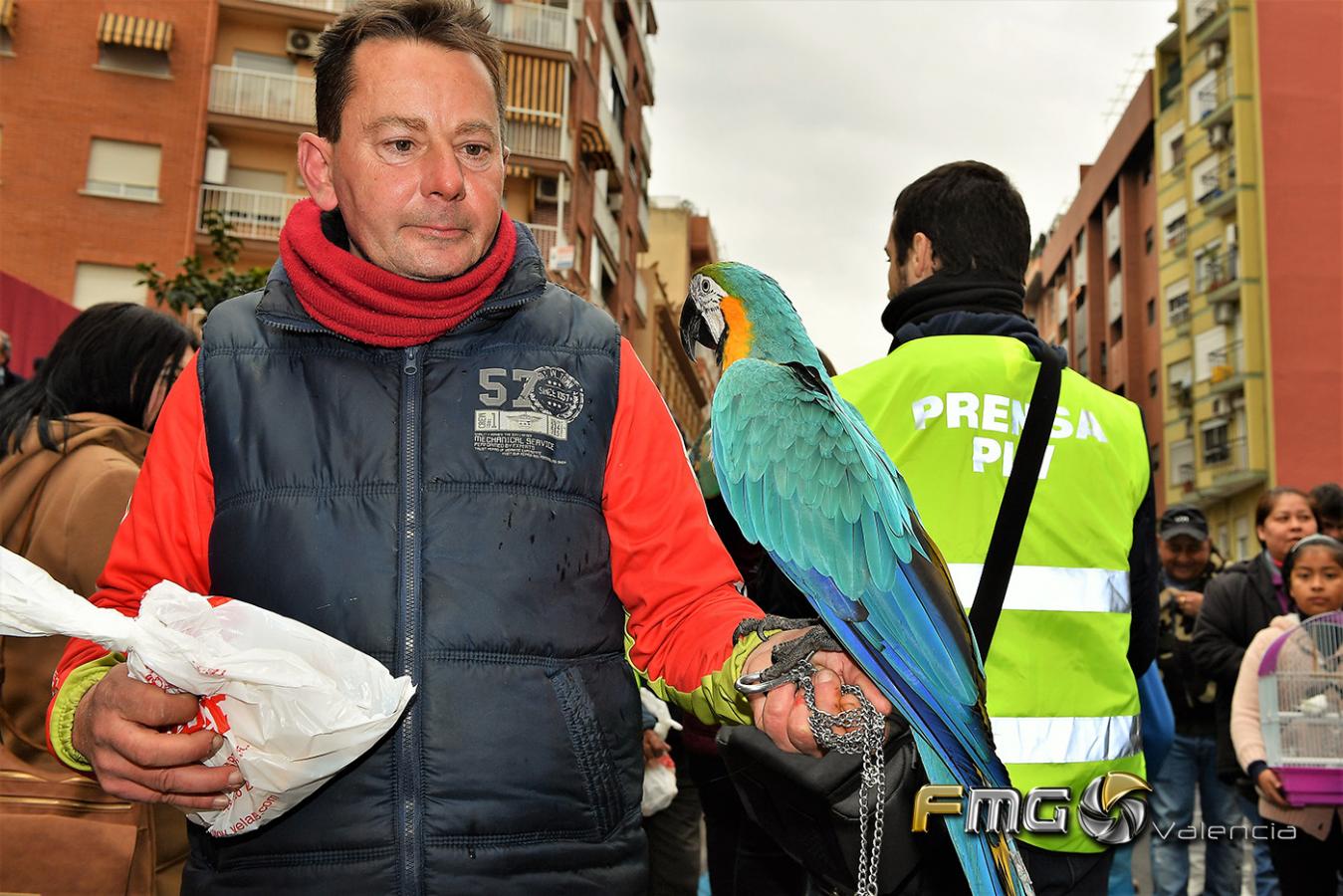 SANT-ANTONI-2019-FMGVALENCIA-FILI-NAVARRETE(113)