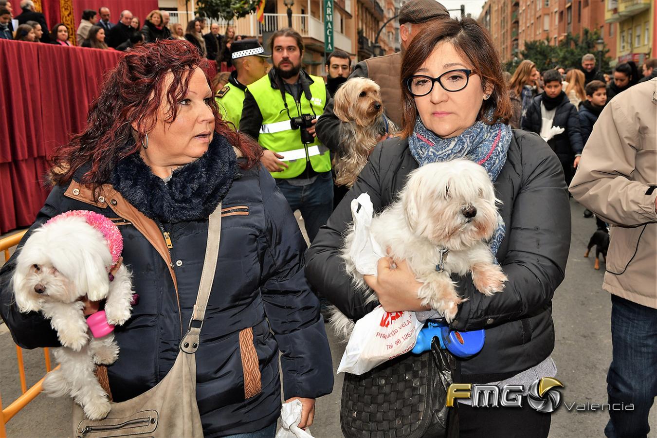 SANT-ANTONI-2019-FMGVALENCIA-FILI-NAVARRETE(119)