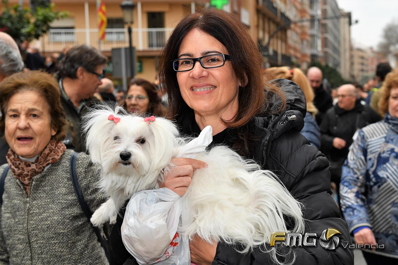 SANT-ANTONI-2019-FMGVALENCIA-FILI-NAVARRETE(126)