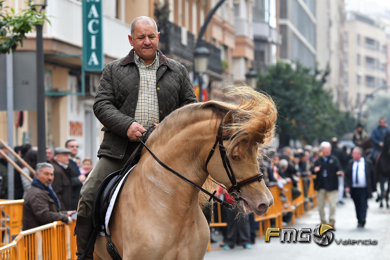 SANT-ANTONI-2019-FMGVALENCIA-FILI-NAVARRETE(401)