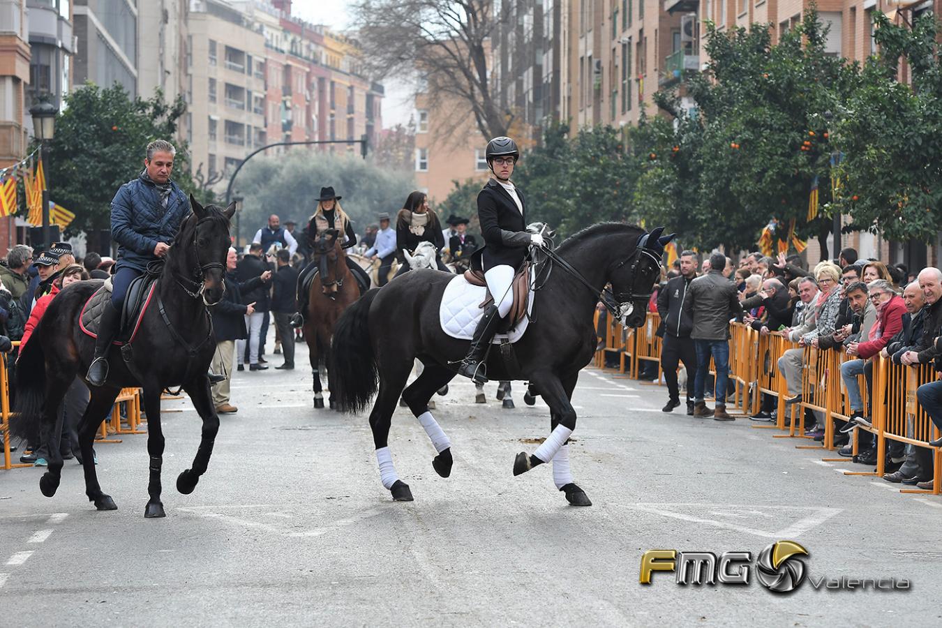 SANT-ANTONI-2019-FMGVALENCIA-FILI-NAVARRETE(402)