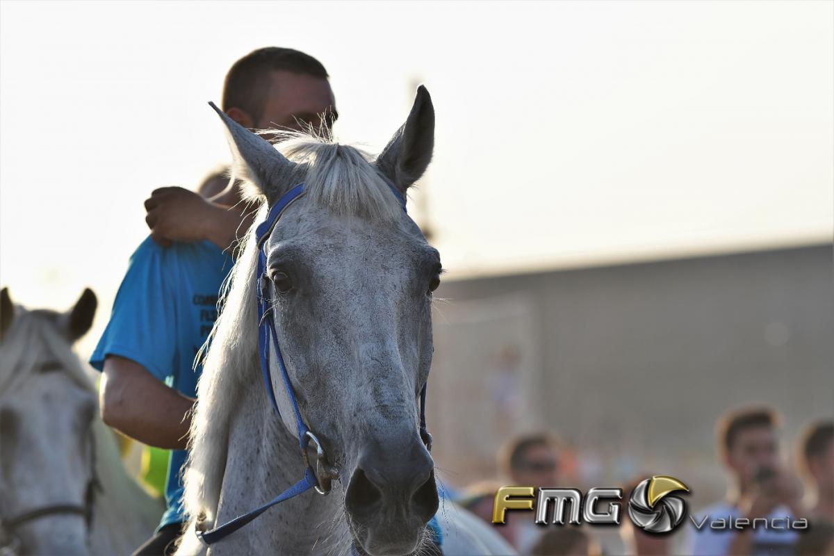 correguda-de-joies-2017-FMGValencia-Fili-Navarrete (1)